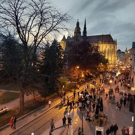 公寓 Center Padre Pio Xxl