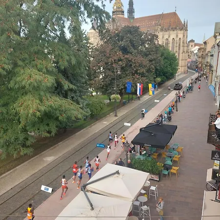 Center Padre Pio Xxl Apartment